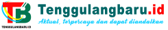 Google News Tenggulangbaru.id